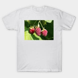 Loganberry T-Shirt